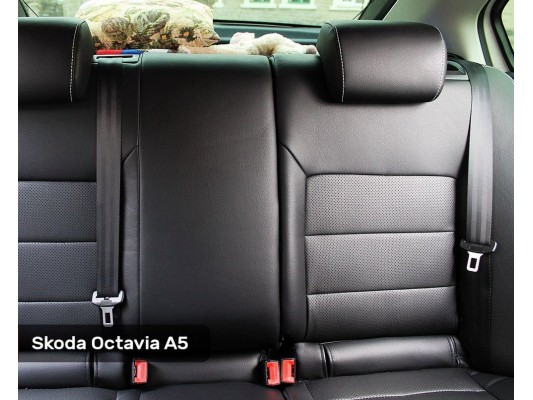 Каркасные авточехлы на Skoda Octavia A5